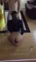 407240_thumb.jpg