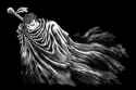 Russian ⧸a⧸ sings Tell me why (Berserk OP) [GTqvqLxBmQQ]_thumb.jpg