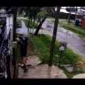 vandals-rob_1708301638066_thumb.jpg