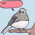 videoplayback_thumb.jpg