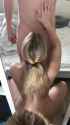 1736763976254523_thumb.jpg