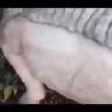 1685948268895723_thumb.jpg