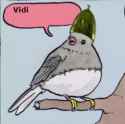 bird_1544918995267_thumb.jpg