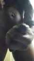 1645654348814_thumb.jpg