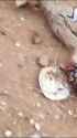 VID_20250406_213232_087_thumb.jpg