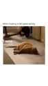 hnoio (2)_thumb.jpg