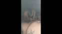 254160_thumb.jpg