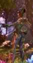 ezgif-30d56cfaa2093f_thumb.jpg