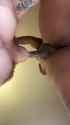 221355441_thumb.jpg
