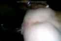 8_thumb.jpg
