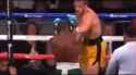 mayweather vs jake paul lights out_thumb.jpg