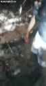 1743739394226252_thumb.jpg