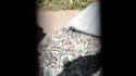 candid-537-e_thumb.jpg