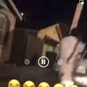 DogBonkOriginal_thumb.jpg