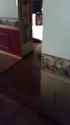 Scared my deaf cat when I got home [Iw-9XH6KiOk]_thumb.jpg