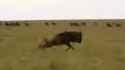 1467735720065 [LXOMPveRghE]_thumb.jpg