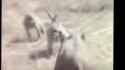 1467734861799 [Gz_jLR895to]_thumb.jpg