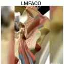 texas webm_thumb.jpg