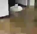 Unregistered HyperCat 2_thumb.jpg