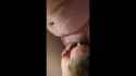 NotMyDick_thumb.jpg