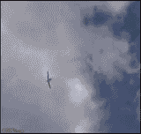 Reno Air Race Crash