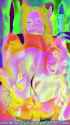 LN_0874_thumb.jpg