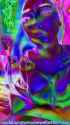 LN_0876_thumb.jpg