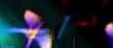 NL_0701_thumb.jpg