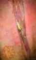b428a5c00d_thumb.jpg