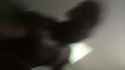 BBC Beat Down 2_thumb.jpg