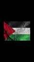 ProPalestine_thumb.jpg