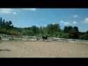 Drift Horse Deja Vu [SeQWYsBFtdE]_thumb.jpg