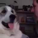 1624191765407_thumb.jpg