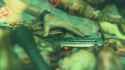 Can&#039;t Reach_thumb.jpg