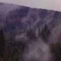 epic webm twin peaks_thumb.jpg
