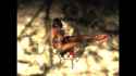 The-Saboteur-midnigt-show-dances-1d_thumb.jpg