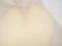 2047IMGLS_thumb.jpg