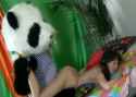 Panda1Part3_thumb.jpg