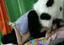 Panda1Part4_thumb.jpg