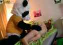 Panda3Part1_thumb.jpg