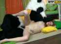 Panda3Part3_thumb.jpg