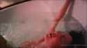 962b7f4d5d39b1359625768abaa85fe0de9fc37b0a90c4f4887fd42f7fb7d767_thumb.jpg