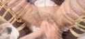 MarkHH9_1853039285131505838_cut_thumb.jpg