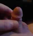 oldstuff6_thumb.jpg