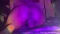 768429266097418241-[00.00.000-00.21.830]-audio_thumb.jpg