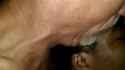 1751108421031478_thumb.jpg