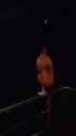 1751228870548826_thumb.jpg