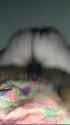 720P_4000K_234941621_thumb.jpg