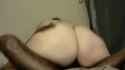 pawggoinham_thumb.jpg