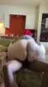 RedheadSSBBWriding_thumb.jpg